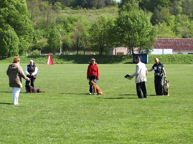 www.atibox.net * www.euroboxer.eu * www.boxergenealogia.eu